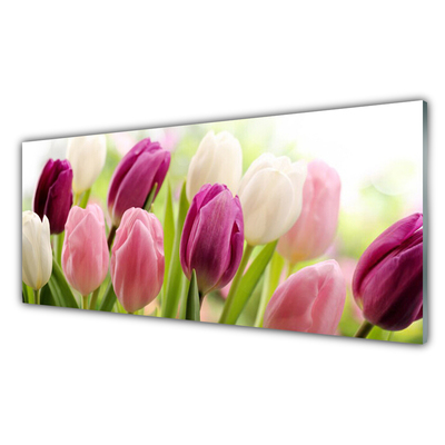 Slika na akrilnem steklu Tulipani rože narava travnik