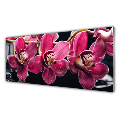 Slika na akrilnem steklu Orchid rože narava poganjki