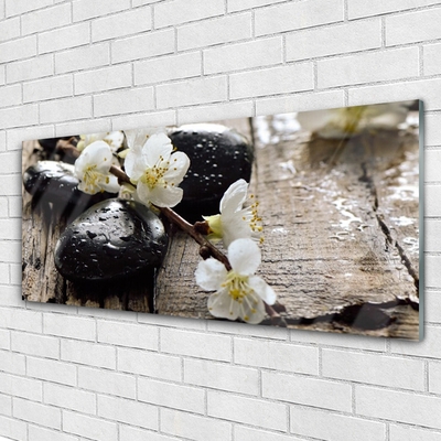Slika na akrilnem steklu Cvetje sadje vejica