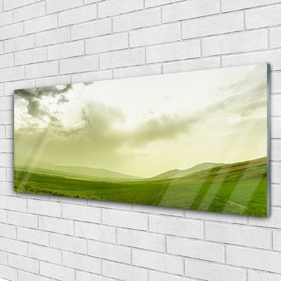 Slika na akrilnem steklu Narava green meadow view