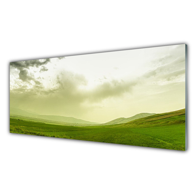 Slika na akrilnem steklu Narava green meadow view