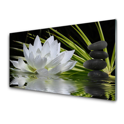 Slika na akrilnem steklu Water lily cvetje
