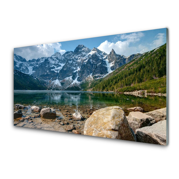 Slika na akrilnem steklu Tatra mountains forest lake