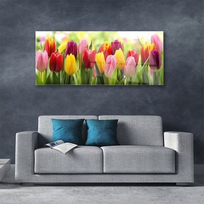 Slika na akrilnem steklu Tulipani rože narava