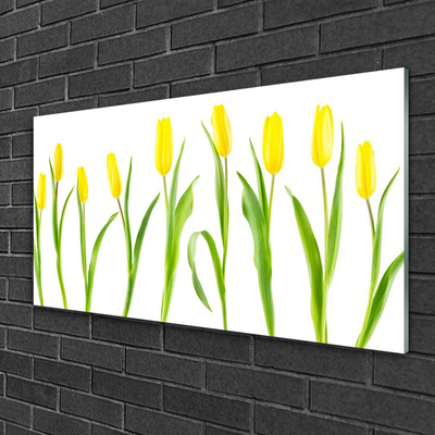 Slika na akrilnem steklu Tulipani rumenimi cvetovi