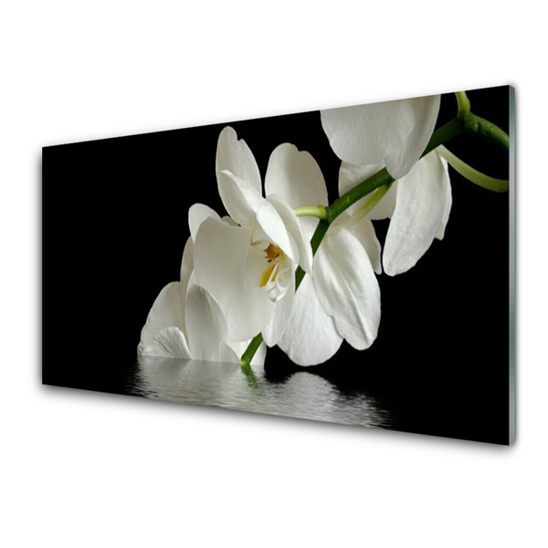 Slika na akrilnem steklu Orchid cvetje v vodi
