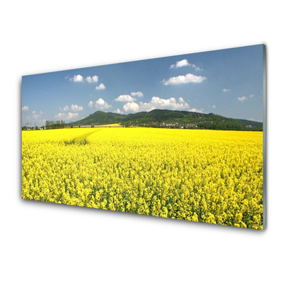 Slika na akrilnem steklu Polje travnik narava repičnega