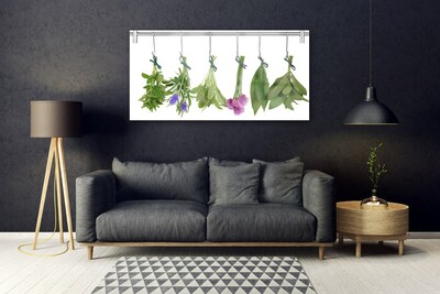 Slika na akrilnem steklu Zelišča posušeni listi cvetje