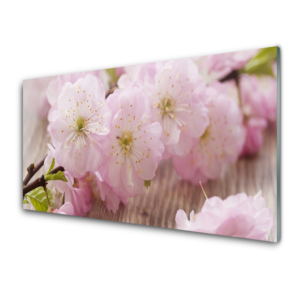 Slika na akrilnem steklu Panoge cvetje latice narava