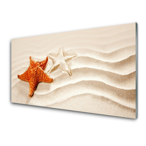 Slika na akrilnem steklu Morske zvezde na peščeni plaži