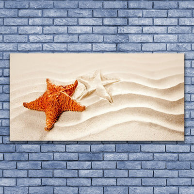 Slika na akrilnem steklu Morske zvezde na peščeni plaži