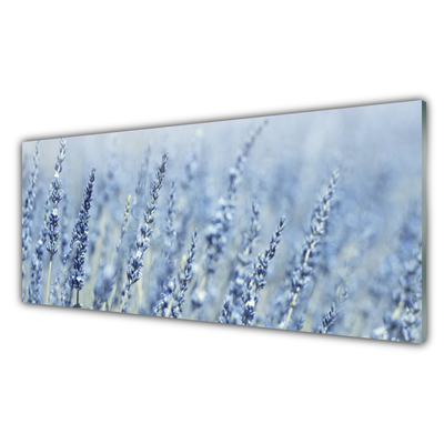 Slika na akrilnem steklu Cvetje travnik narava ears