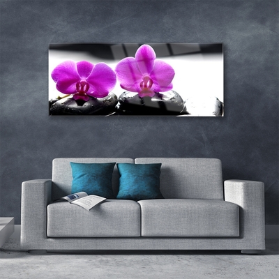Slika na akrilnem steklu Orhideje narava