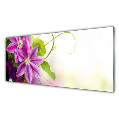 Slika na akrilnem steklu Rože narava narava