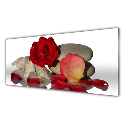 Slika na akrilnem steklu Cvetni listi vrtnic tihožitja