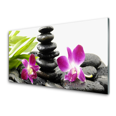 Slika na akrilnem steklu Orchid zen spa stones