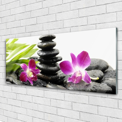 Slika na akrilnem steklu Orchid zen spa stones