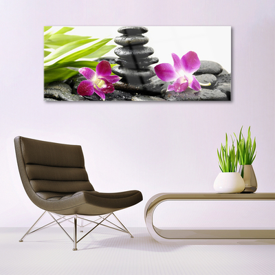 Slika na akrilnem steklu Orchid zen spa stones