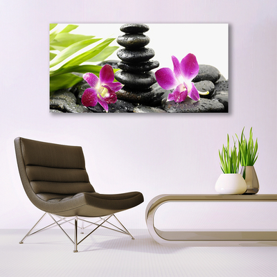 Slika na akrilnem steklu Orchid zen spa stones