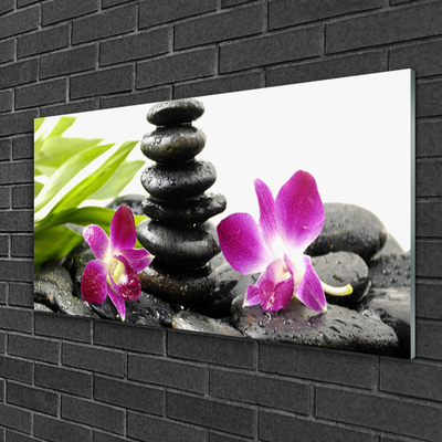 Slika na akrilnem steklu Orchid zen spa stones