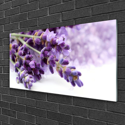 Slika na akrilnem steklu Cvetje narava rastline