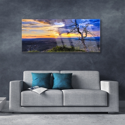 Slika na akrilnem steklu Drevo sunset