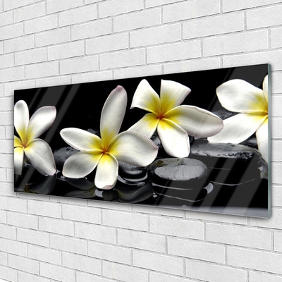 Slika na akrilnem steklu Beautiful flower plumeria