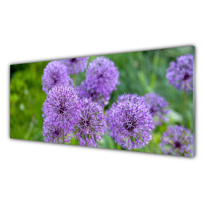 Slika na akrilnem steklu Purple travnik flowers
