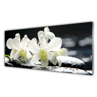 Slika na akrilnem steklu Stones orhideje