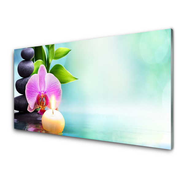 Slika na akrilnem steklu Orchid voda narava