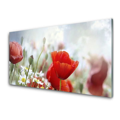 Slika na akrilnem steklu Cvetje cvetnih listov rastlin