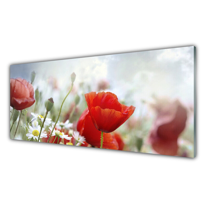 Slika na akrilnem steklu Cvetje cvetnih listov rastlin