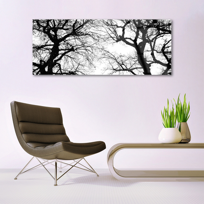 Slika na akrilnem steklu Drevesa narava black and white