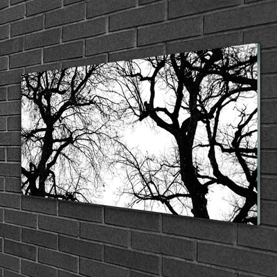 Slika na akrilnem steklu Drevesa narava black and white