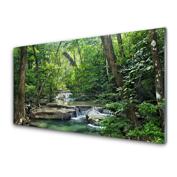 Slika na akrilnem steklu Gozd forest narava narava