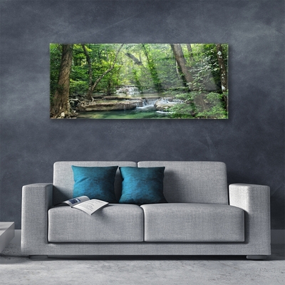 Slika na akrilnem steklu Gozd forest narava narava