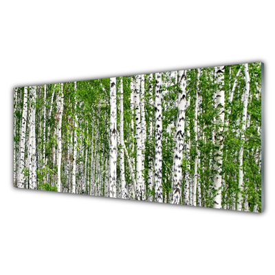 Stenska plošča za kuhinjo Birch tree forest narava