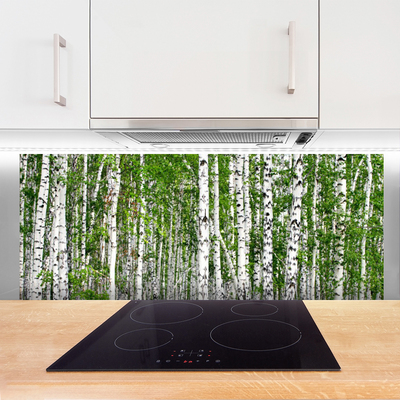 Stenska plošča za kuhinjo Birch tree forest narava