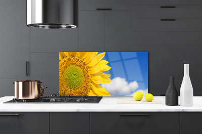 Stenska plošča za kuhinjo Sončnična heaven oblaki