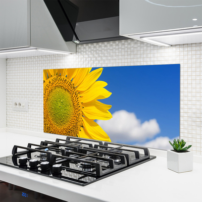Stenska plošča za kuhinjo Sončnična heaven oblaki
