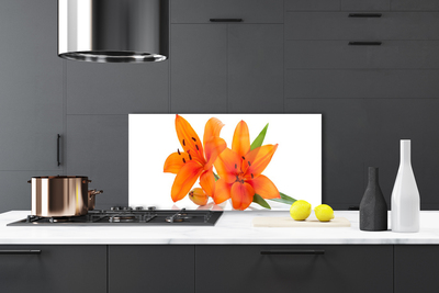 Stenska plošča za kuhinjo Orange rastlin cvetje