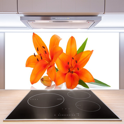 Stenska plošča za kuhinjo Orange rastlin cvetje