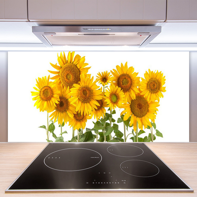 Stenska plošča za kuhinjo Sončnice rastlin