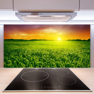Stenska plošča za kuhinjo Pšenična polja sunrise