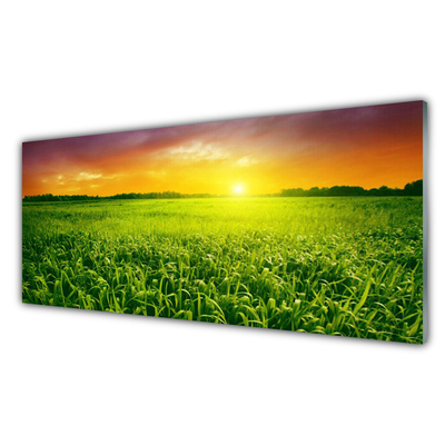 Stenska plošča za kuhinjo Pšenična polja sunrise