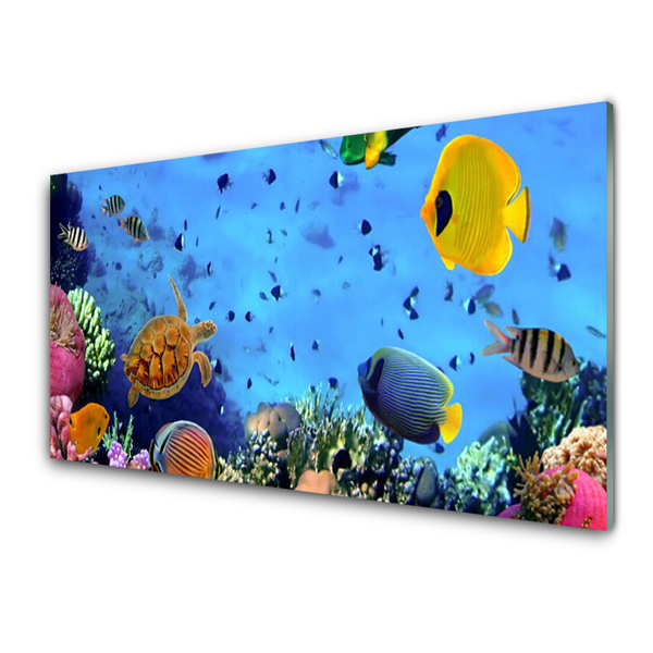 Stenska plošča za kuhinjo Coral reef fish narava