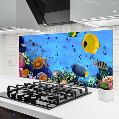 Stenska plošča za kuhinjo Coral reef fish narava
