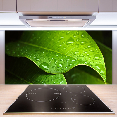 Stenska plošča za kuhinjo Dew drops leaf