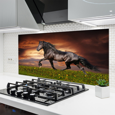 Stenska plošča za kuhinjo Črna horse meadow živali