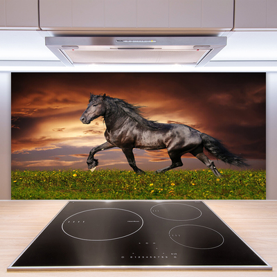 Stenska plošča za kuhinjo Črna horse meadow živali